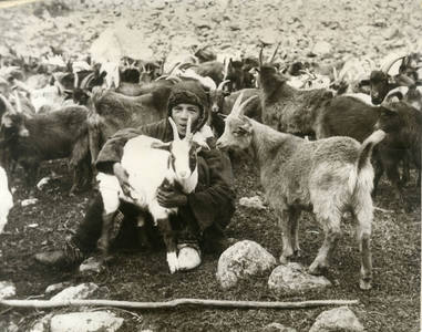 5918-27. Мальчик-пастух с козами. Карачаевская АО. 1936 г. Карачаевцы