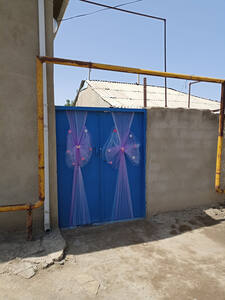 Украшенные ворота дома невесты. Селение Нижняя Аза. Ордубадский район, Нахичеванская Автономная Республика
